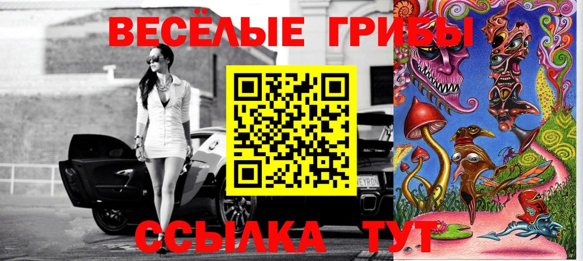 купить наркоту  Псилоцибиновые грибы GOLDEN TEACHER  Вход с VPN  Галлюциногенные грибы GOLDEN TEACHER  Буйнакск 
