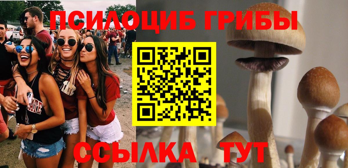 Псилоцибиновые грибы ЛСД Буйнакск